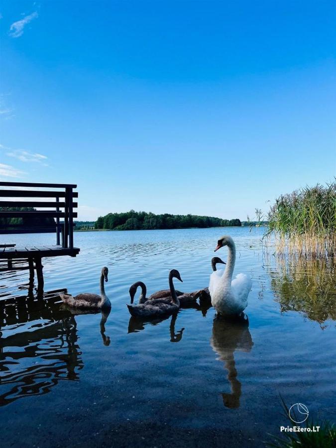 Resort By Nava Lake Aukstadvaris Exterior photo